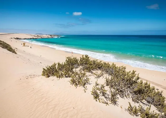 Majos Fuerteventura * 타라할레호